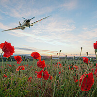 Buy canvas prints of War Plane Poppy Pass by J Biggadike