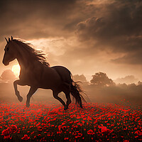 Buy canvas prints of The War Horse by J Biggadike
