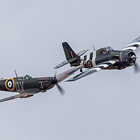 Buy canvas prints of Spitfire and Wildcat by J Biggadike