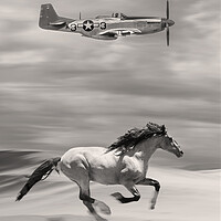 Buy canvas prints of Mustangs Tall In The Saddle by J Biggadike
