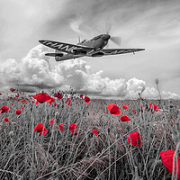 Buy canvas prints of NHS Tribute Fly Past by J Biggadike