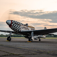 Buy canvas prints of P51 Mustang Contrary Mary by J Biggadike