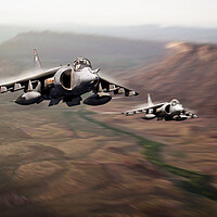 Buy canvas prints of The Mighty Harrier by J Biggadike
