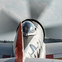 Buy canvas prints of P-47 Thunderbolt Nellie B by J Biggadike