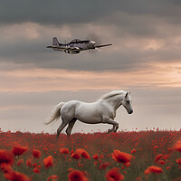 Buy canvas prints of Stallions Flight by J Biggadike