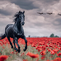 Buy canvas prints of Riding the Winds of Remembrance by J Biggadike