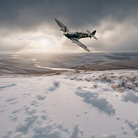 Buy canvas prints of Winter Wings by J Biggadike