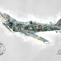 Buy canvas prints of Supermarine Spitfire Mk XVI TE311 Painting by J Biggadike