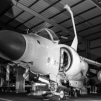 Buy canvas prints of Sea Harrier ZD582 by J Biggadike