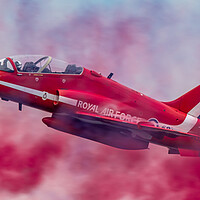 Red Arrows Hawk