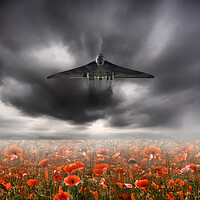 Vulcan Bomber Red Poppies