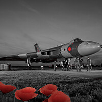 Avro Vulcan XL426 Tribute