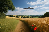 Click to show how this picture will look as a piece of wall art