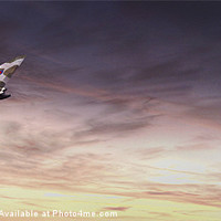 Buy canvas prints of Vulcan Flight by J Biggadike