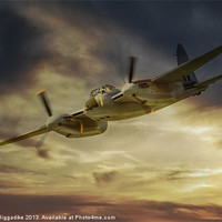 Buy canvas prints of Mosquito by J Biggadike