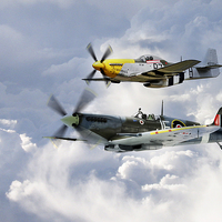 Buy canvas prints of Flying Brothers by J Biggadike
