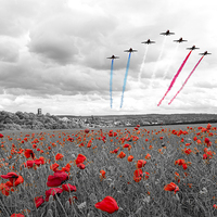 Buy canvas prints of Red Arrows Tribute Selective by J Biggadike