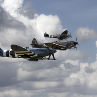 Buy canvas prints of Battle of Britain Spitfires by J Biggadike