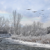 Buy canvas prints of Winter Bombers  by J Biggadike