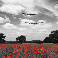 Buy canvas prints of Two Lancasters Poppy Pass - Selective by J Biggadike