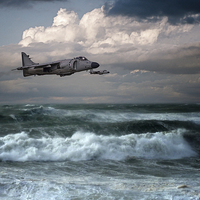 Buy canvas prints of Sea Harriers  by J Biggadike