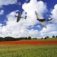 Buy canvas prints of Spitfire Poppy Fly Past  by J Biggadike