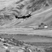 Buy canvas prints of Spitfire In The Weeds - Mono  by J Biggadike