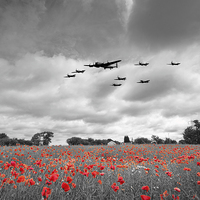 Buy canvas prints of  Battle Of Britain Anniversary - Selective by J Biggadike