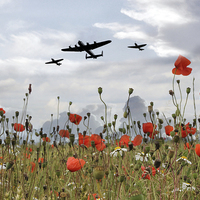 Buy canvas prints of BBMF Over The Poppies by J Biggadike