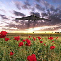 Buy canvas prints of Vulcan Poppy Fly Past by J Biggadike