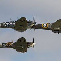 Buy canvas prints of Spitfires and Seafire by J Biggadike