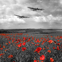 Buy canvas prints of Brothers In Arms - Red by J Biggadike