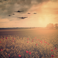 Buy canvas prints of Warbird Fly Past by J Biggadike