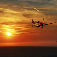 Buy canvas prints of Red Tail Sunrise by J Biggadike