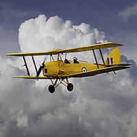 Buy canvas prints of De Havilland DH82 Tiger Moth by J Biggadike