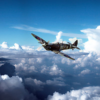 Buy canvas prints of Spitfire TE184 by J Biggadike