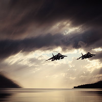 Buy canvas prints of Low Level Harriers by J Biggadike