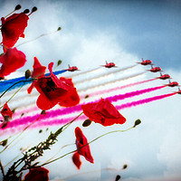 Buy canvas prints of Red Arrows Poppy Abstract by J Biggadike