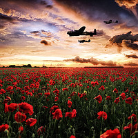 Buy canvas prints of The RAF's Finest by J Biggadike