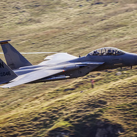 Buy canvas prints of F15 from Cad West by J Biggadike