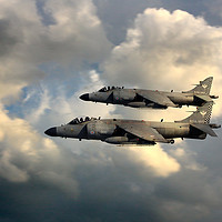 Buy canvas prints of Sea Harriers by J Biggadike