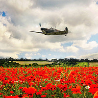 Buy canvas prints of Mk1 Spitfire Poppy Flypast by J Biggadike