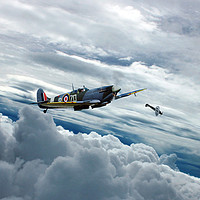 Buy canvas prints of Fly With A Spitfire by J Biggadike