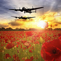 Buy canvas prints of The Lancasters by J Biggadike