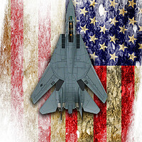 Buy canvas prints of Grumman F-14 Tomcat by J Biggadike
