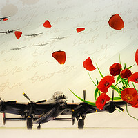 Buy canvas prints of Bomber Command - Lancaster by J Biggadike