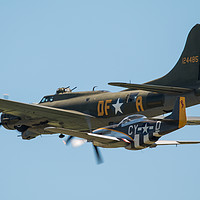Buy canvas prints of Sally B and Little Friend by J Biggadike
