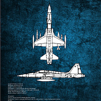 Buy canvas prints of F-5a Tiger by J Biggadike
