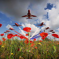 Buy canvas prints of Red Arrows Poppy Fly Past by J Biggadike