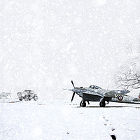 Buy canvas prints of Mosquito In The Snow by J Biggadike